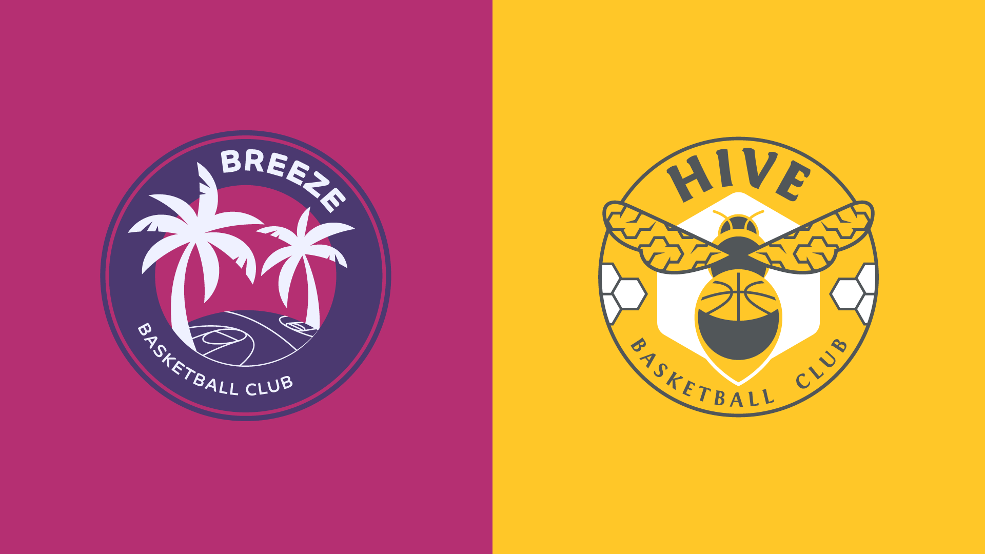 Unrivaled Adds Two New Clubs Ahead of Second Season with "Breeze BC" and "Hive BC" Set to Debut in January