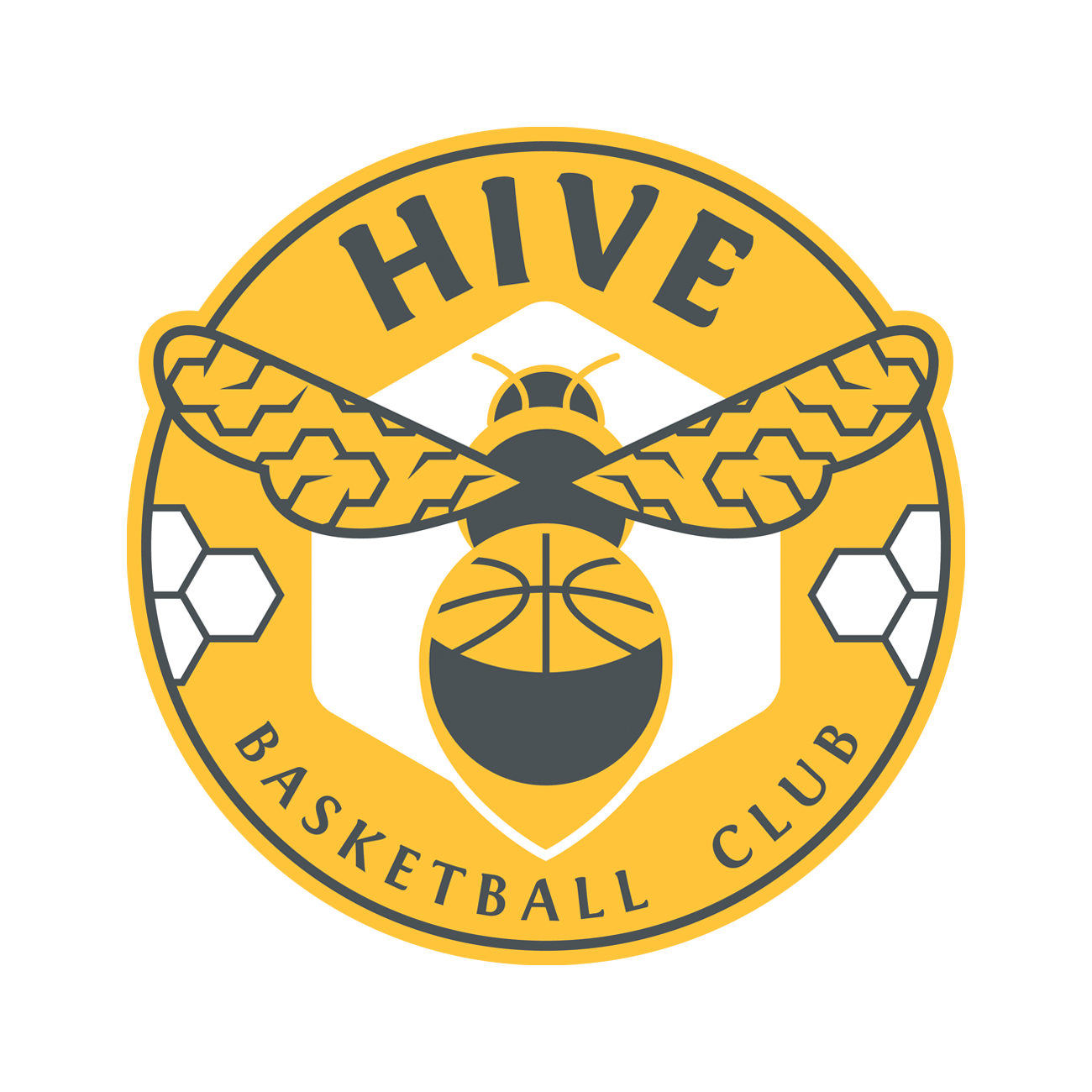 Team Logo